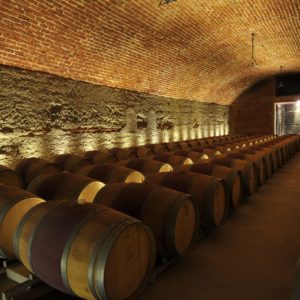 Live From the Vines: Viña Errázuriz - Don Maximiano