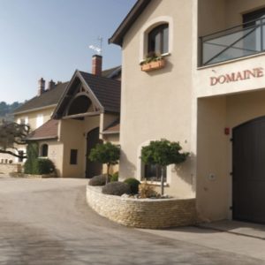 Live from the Vines: Domaine Ponsot