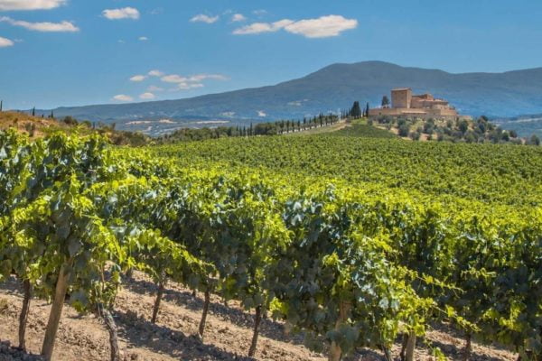 Rioja with Tim Atkin MW (Delivery to UK)