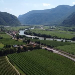 Live from the Vines: San Leonardo
