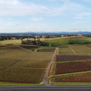 Live from the Vines: Tyrrell's Wines