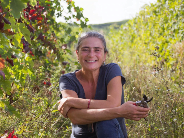 Punset Masterclass with Marina Marcarino - Tuesday 29th November
