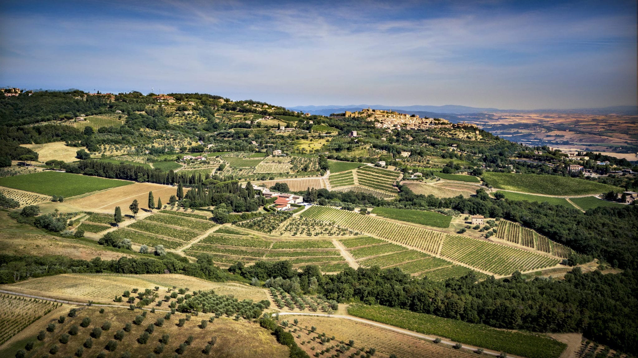 Live From the Vines: Biondi-Santi