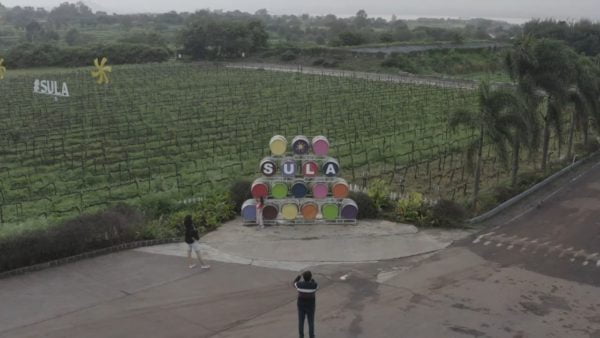 Live From the Vines: Sula Vineyards
