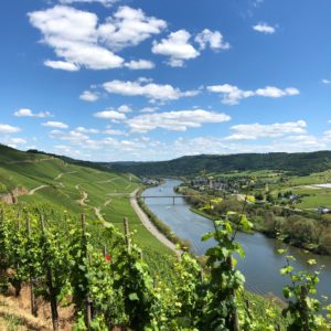 Markus Molitor Riesling Masterclass – Thursday 9th February