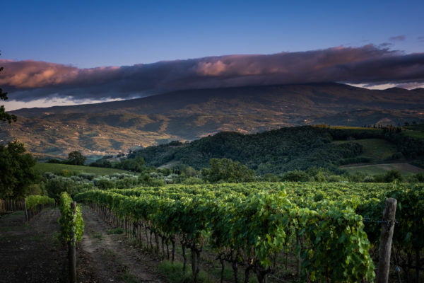 Brunello 2018 Walkaround Tasting with Honest Grapes - Wednesday 15th February