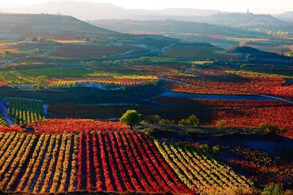 La,Rioja,Region/spain-06/29/2019,Photo,From,Haro,Wine,Festival,In,La