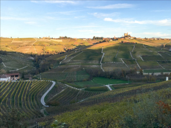 Barolo - landscape