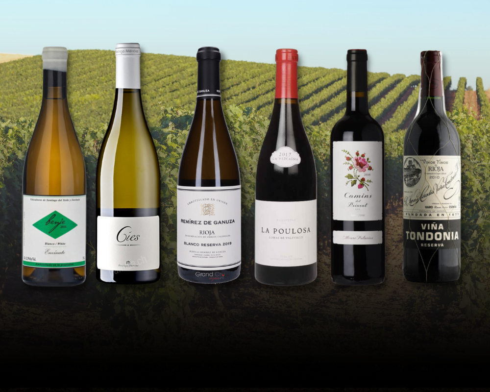 67 Verbier The Wines of Spain