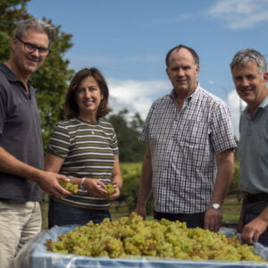 New Zealand’s finest Pinot Noir and Chardonnay with Kumeu River – Monday 16th September