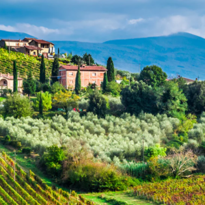 2021 Brunello Anteprima Walkaround Tasting with Honest Grapes - Thursday 12th February