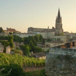Saint-Emilion Grands Crus Walkaround Tasting - Wednesday 29th January