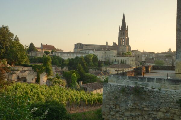 Saint-Emilion Grands Crus Walkaround Tasting - Wednesday 29th January