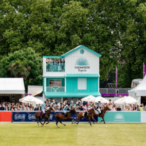 Chestertons Polo in the Park - Saturday 7th June (Non-Member)