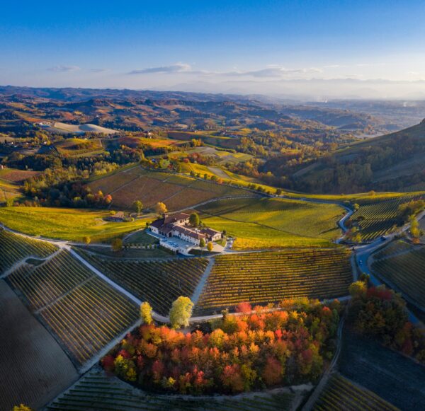 Barolo and Barbaresco Masterclass with Elvio Cogno – Wednesday 26th March