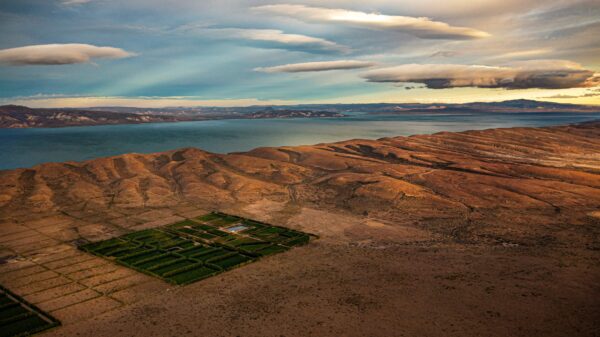 Extreme winemaking with Patagonia’s Otronia and superstar winemaker Alberto Antonini - Monday 13th October