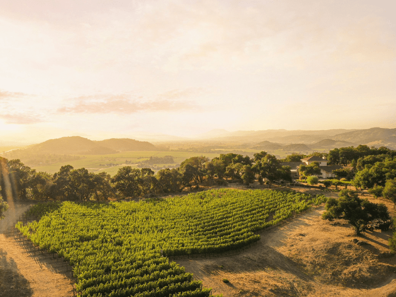 Walkaround tasting with Napa disruptor Realm Cellars – Wednesday 1st October