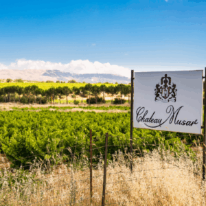 Chateau Musar back to 1970, with family member Marc Hochar - Thursday 6th November