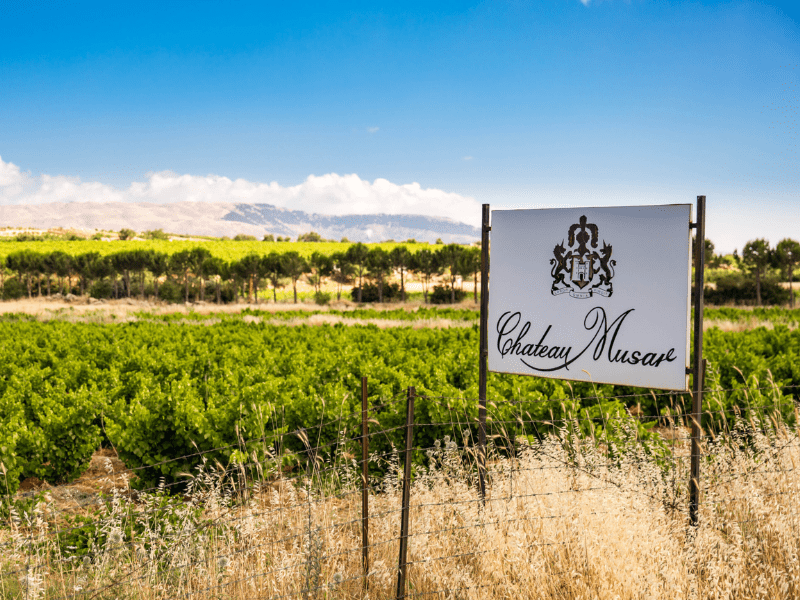 Chateau Musar back to 1970, with family member Marc Hochar - Thursday 6th November