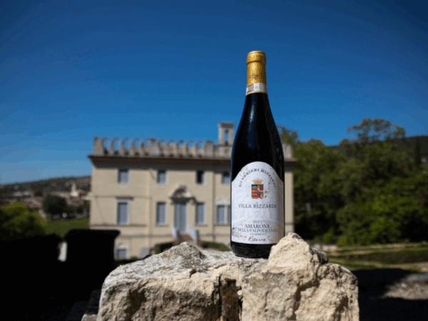 Amarone, Bardolino and Soave with Guerrieri Rizzardi - Tuesday 21st October (Non-Member)