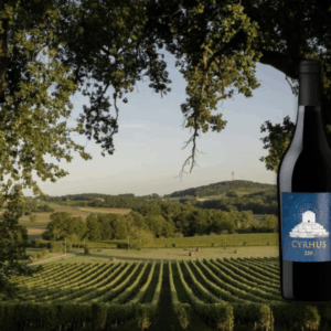 Wine without borders – Persian winemaking with a French accent - Thursday 29th January