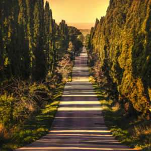 Bolgheri 2023 Anteprima with Federico Moccia and Nelson Pari - Wednesday 25th February (NM)