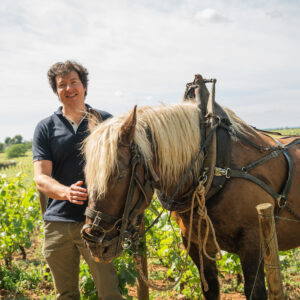 A whistle-stop tour of Burgundy with Domaine Jean Fery - Thursday 22nd January (Non-Member)