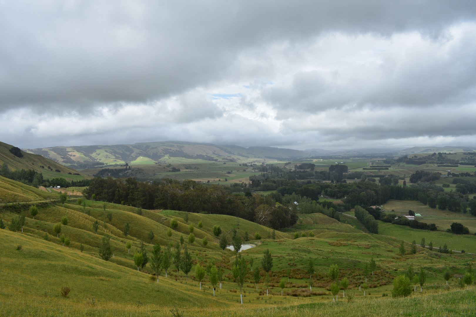 ON THE ROAD | Christina Kaigg-Hoxley in Martinborough - 67 Pall Mall