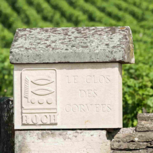 Discover one of Burgundy’s most fascinating domaines - Tuesday 24th February