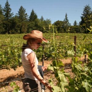 Domaine Dujac and Snowden Vineyards with Diana Snowden Seysses - Thursday 26th March