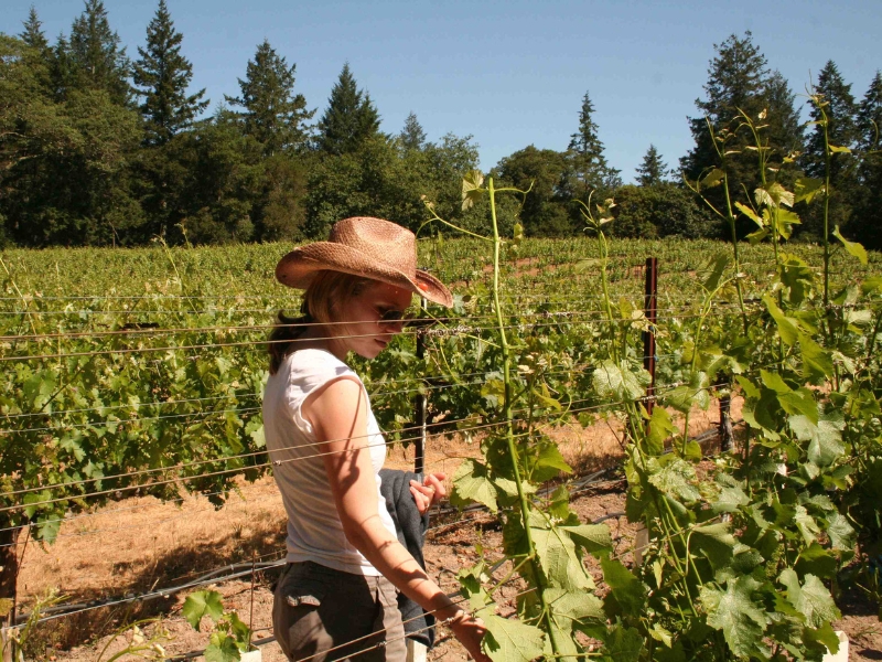 Domaine Dujac and Snowden Vineyards with Diana Snowden Seysses - Thursday 26th March