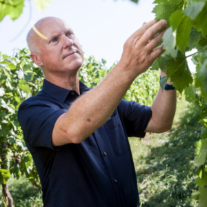 How English fizz made its way onto wine’s top table - Thursday 23rd April