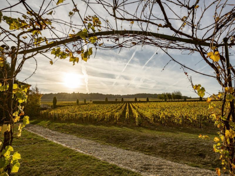 Champagne Salon masterclass - Tuesday 8th September