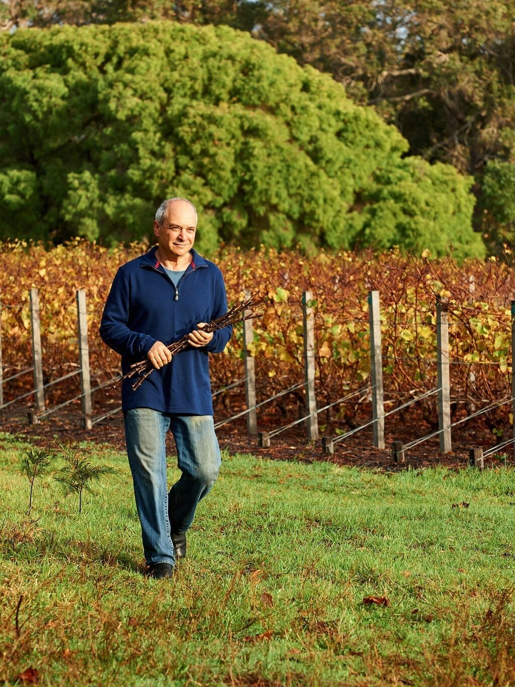 Cloudburst Wines