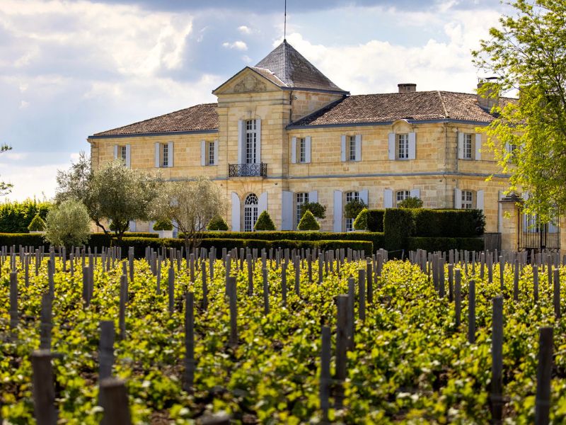 Margaux Fifth Growth Château du Tertre back to 1998 - Tuesday 3rd November