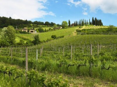 Tuscan pioneer Querciabella with winemaker Manfred Ing