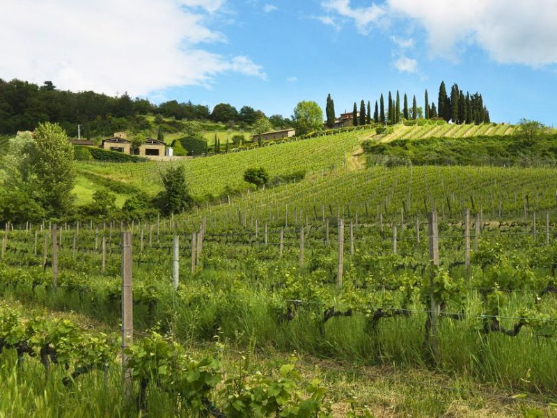 Tuscan pioneer Querciabella with winemaker Manfred Ing - Thursday 5th November