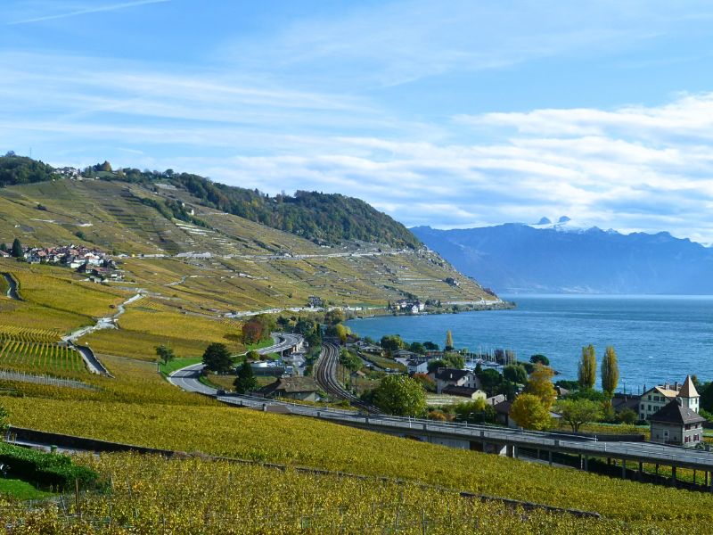 Switzerland: Meet the winemakers tasting with Simon Hardy - Friday 6th November