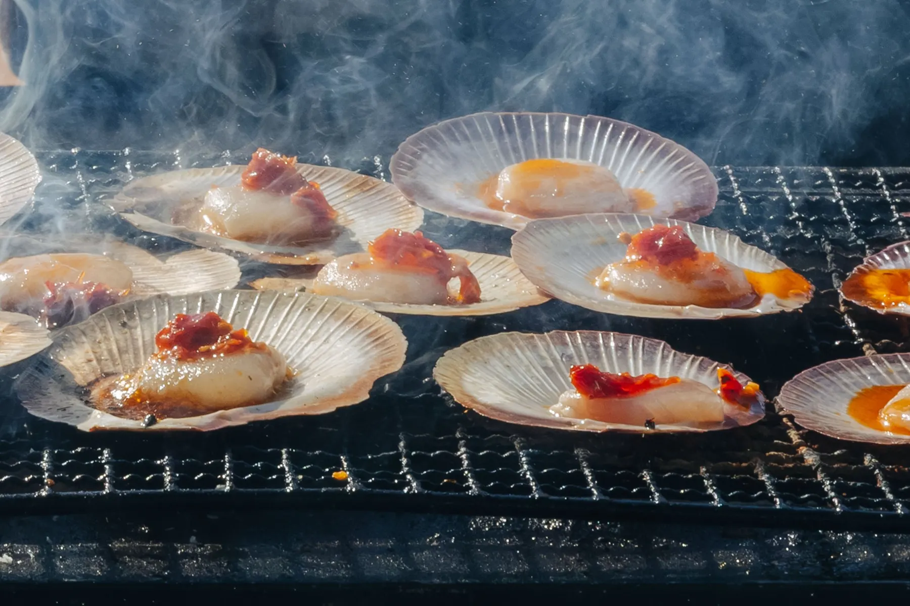 Scallops in the shell on the grill